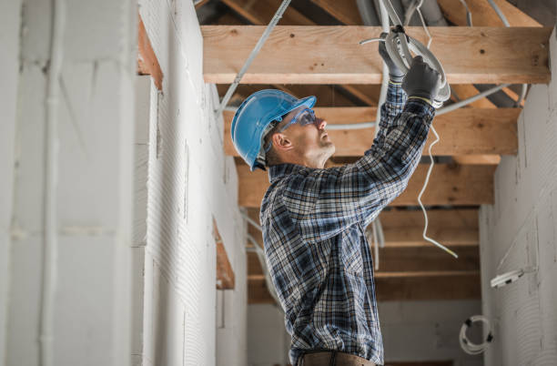 Best Ceiling Fan Installation Electrician  in Centreville, MI