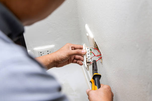 Best Electric Panel Repair  in Centreville, MI